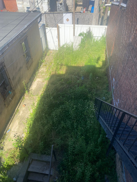 Garden Cleaning  / Limpieza de jardin